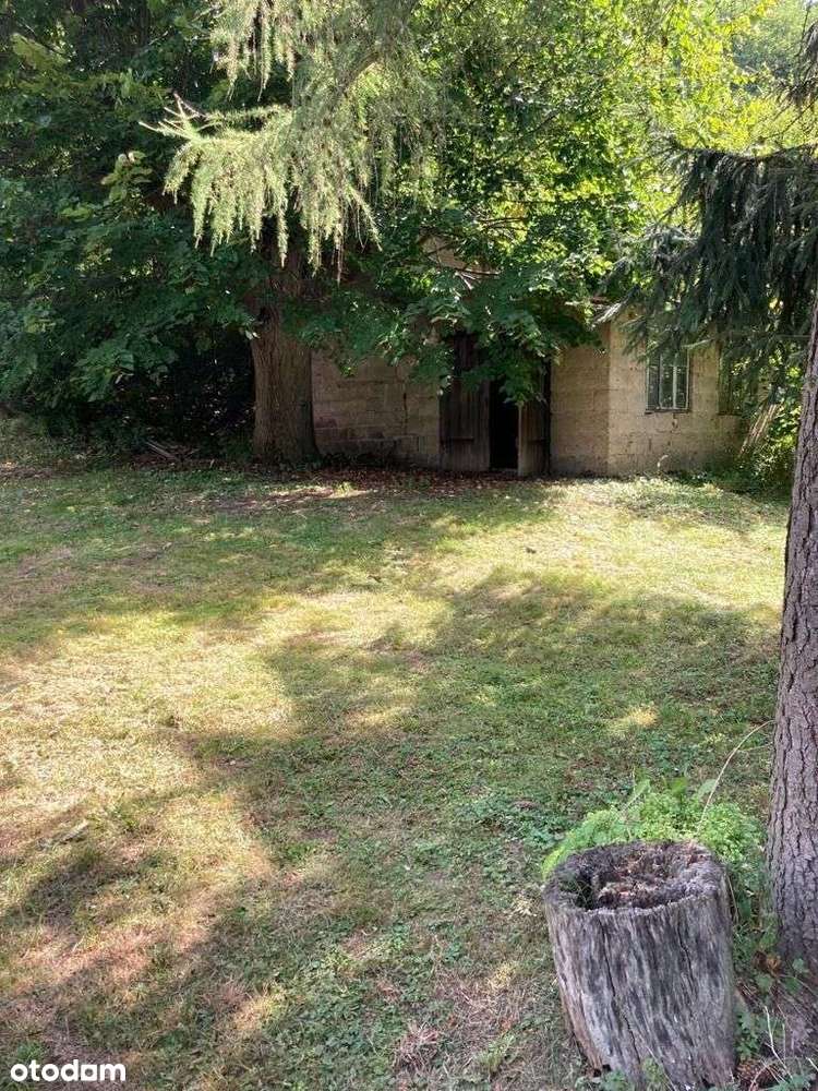 Magiczne siedlisko z lasem, rzeczką i historią-16