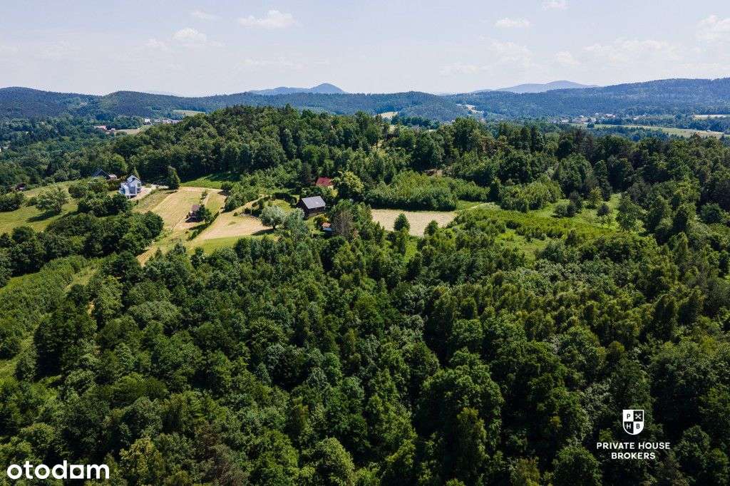 Atrakcyjna działka budowlana 0,38Ha, Brzezowa - Pełny obrazek: 4/12