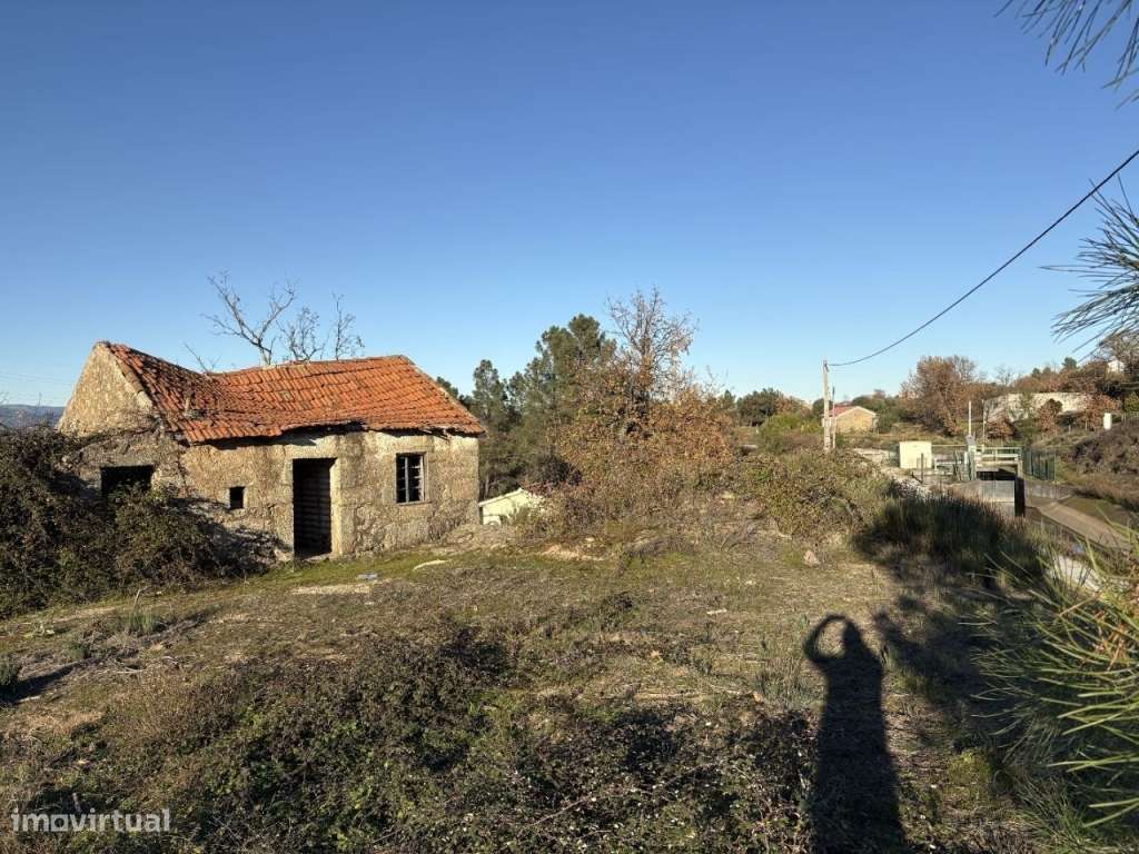 Quinta com casa em pedra para recuperar-4