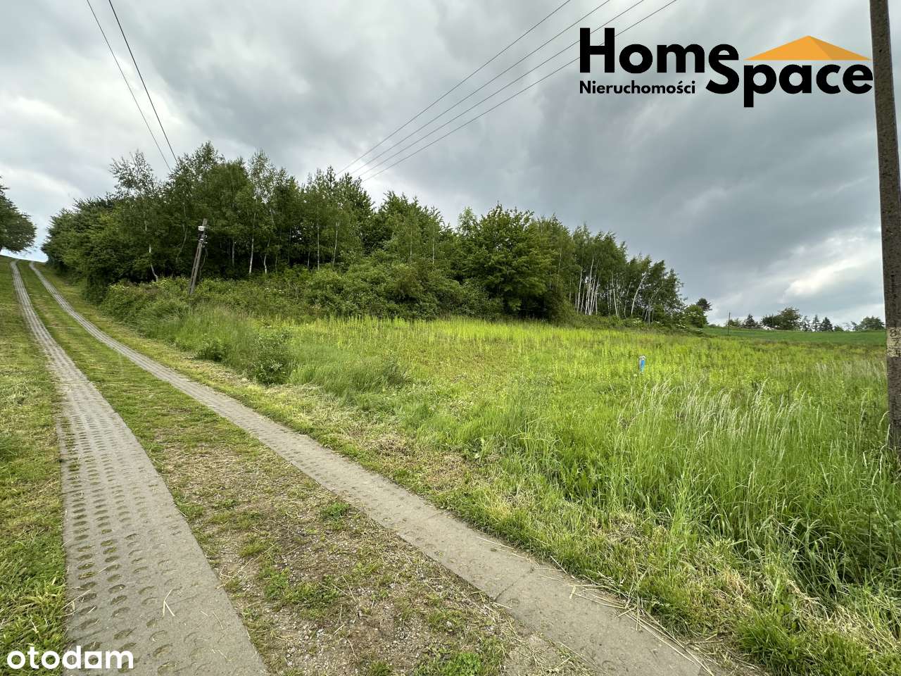 Działka budowlana, Gogołów gmina Frysztak - Pełny obrazek: 5/5