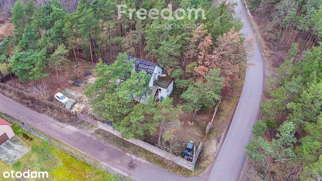 Dom wolnostojący na dużej działce Białołęka - Pełny obrazek: 4/8