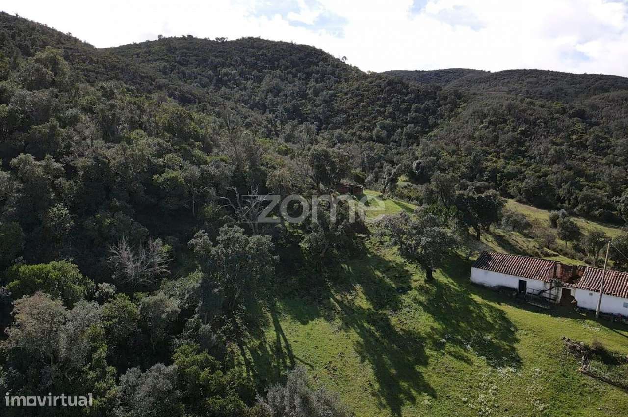 Fantástica Moradia para recuperar, em lote de 10.800m2, em Sapeira - Grande imagem: 3/22