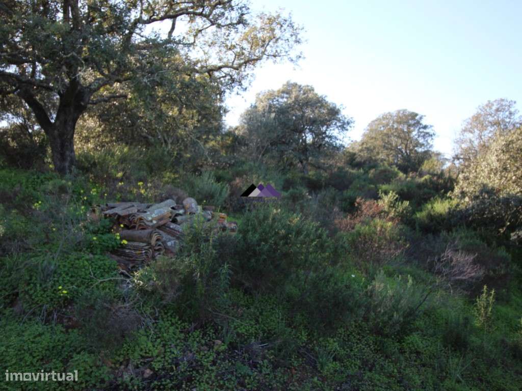 Terreno Rústico | 34.000 m² | Corga da Madeira - Junqueira, Castro ...-10