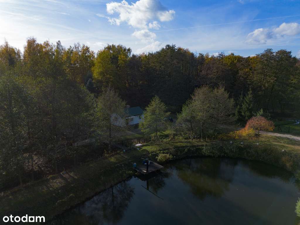 Urokliwe łowisko wędkarskie z domkiem!-2