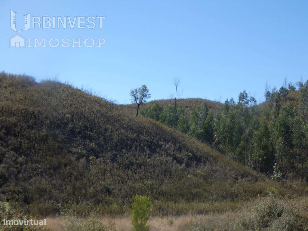 Terreno rústico com barragem e horta , Rasmalho, Portimão - Grande imagem: 4/35