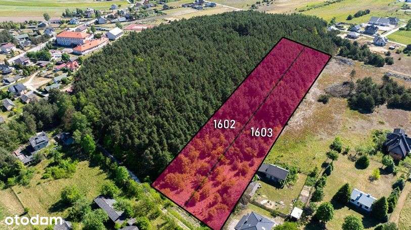 Działka budowlana | Oleszno | 1,04ha - Pełny obrazek: 2/12
