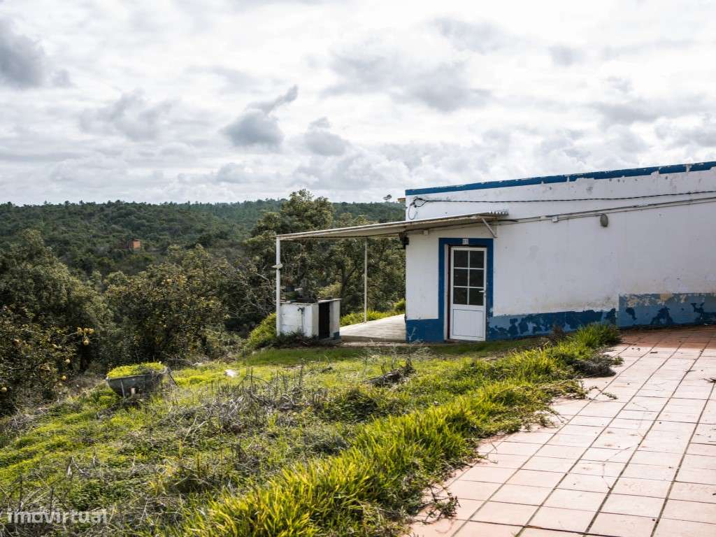** Fantástico Monte Alentejano com 50.000m2 Próximo a Maravilhosa C...-0
