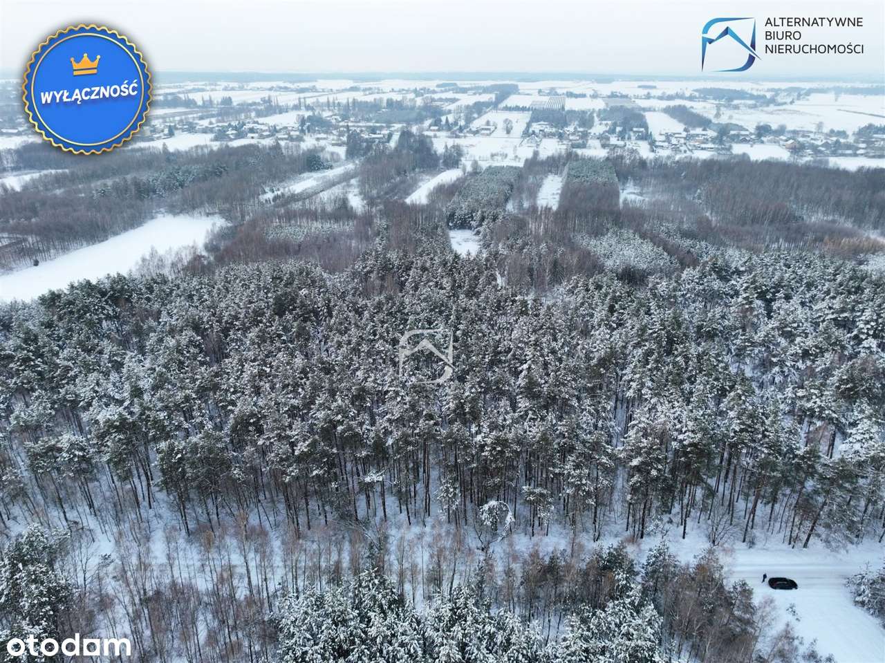 Działka leśna w miejscowości Tarło - Pełny obrazek: 4/11