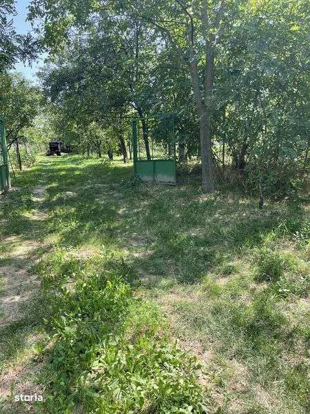 Pivnita cu vie si livada - Imagine principală: 4/5