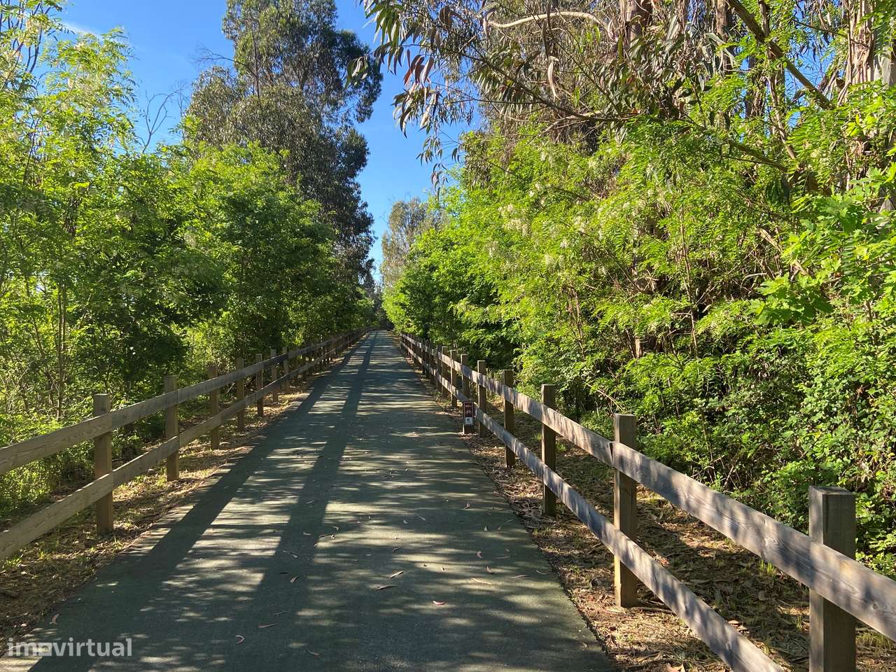 Terreno, Viseu, Tondela, Tonda - Grande imagem: 4/16