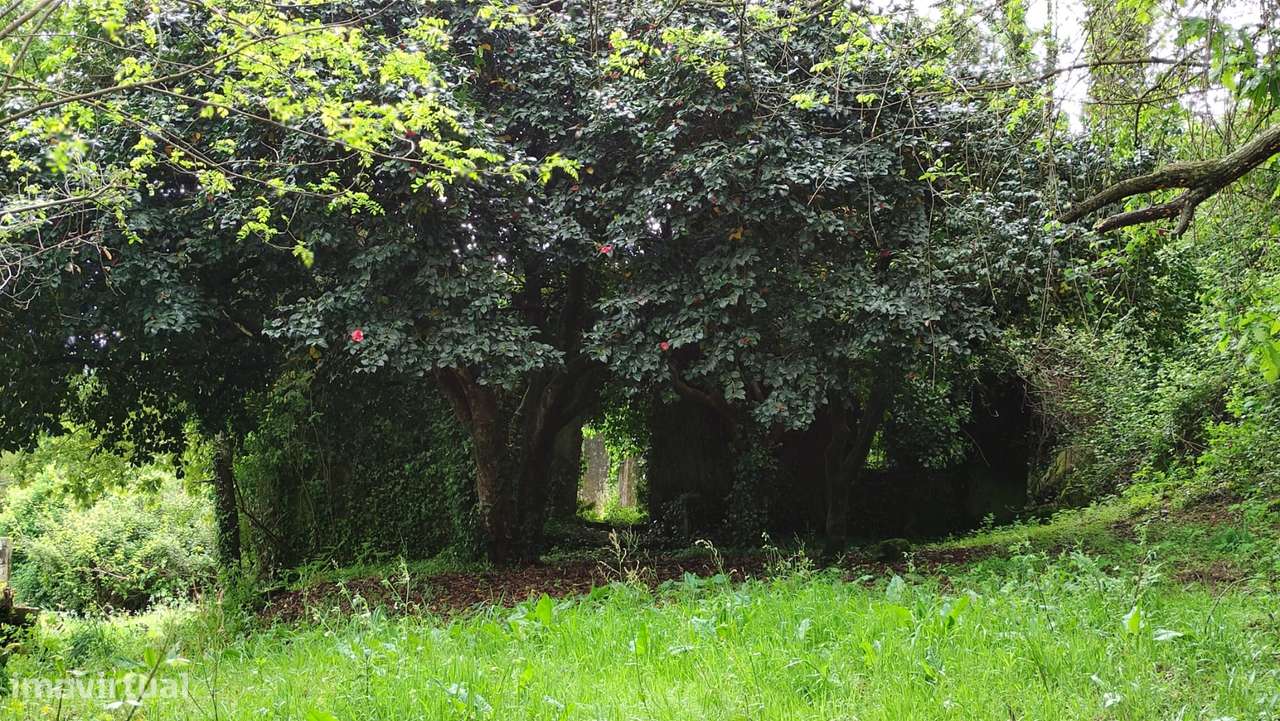 Quinta  Venda em Penhalonga e Paços de Gaiolo,Marco de Canaveses-8