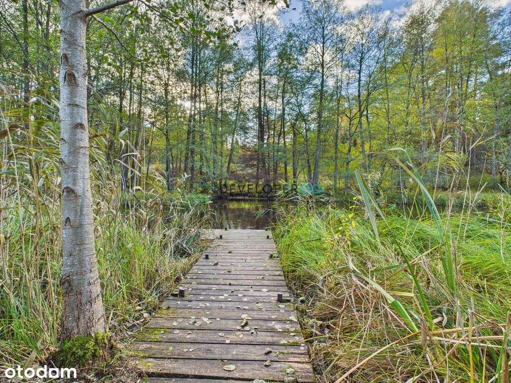 Siedlisko nad Czarną Hańczą | Azyl, który zarabia - Pełny obrazek: 4/20