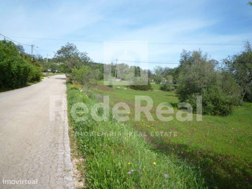 Terreno rústico, Loulé - Grande imagem: 4/15
