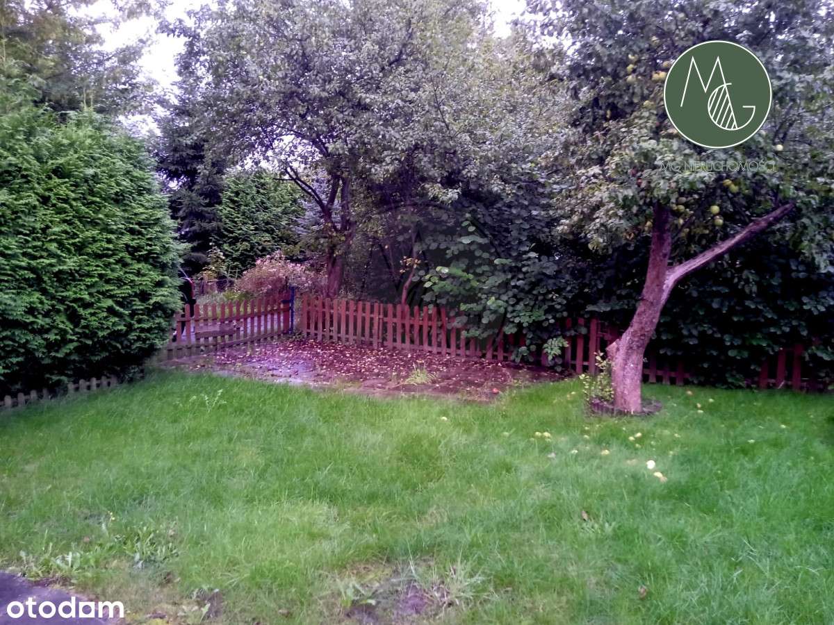 Działka Rod Zorza, domek, zadbany teren-14