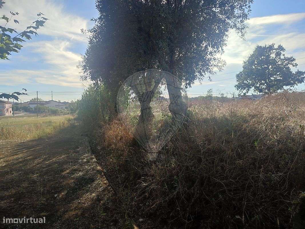 Terreno  para venda-6