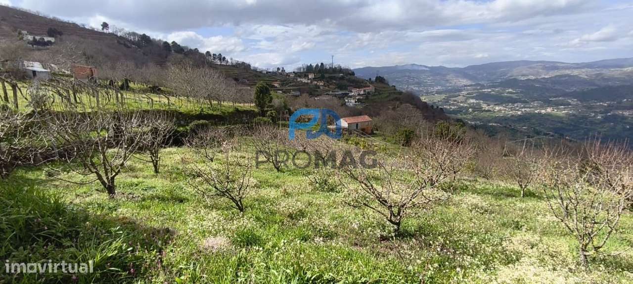 Terreno Urbanizável de 7959 m² com Armazém-19