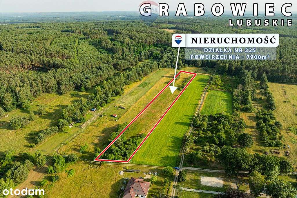 Na sprzedaż działka rolna 7900 m2, pod lasem - Pełny obrazek: 5/11