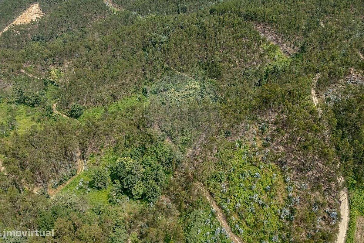 Terreno  para venda - Grande imagem: 4/9