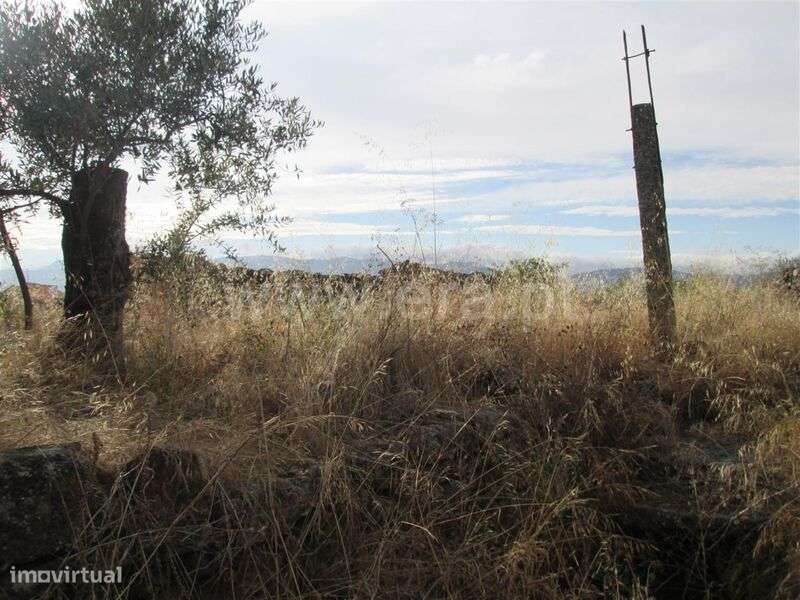 Terreno com ruina / Covilhã, Peraboa - Grande imagem: 4/13