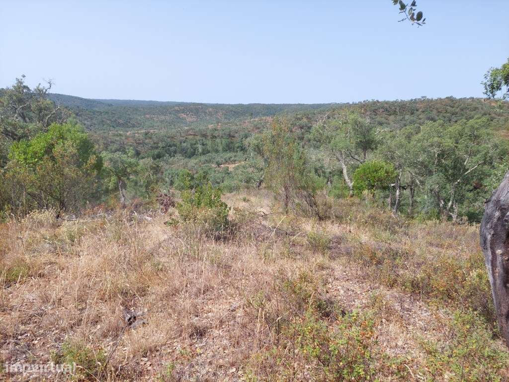 Terreno entre Grandola e Melídes com boas perspectivas de valorização. - Grande imagem: 3/10