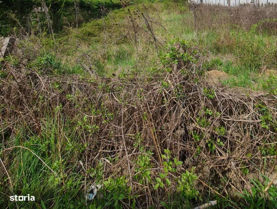 Teren intravilan, 400, 800 mp sau 1200 mp, zona Brico Depot - Imagine principală: 2/2