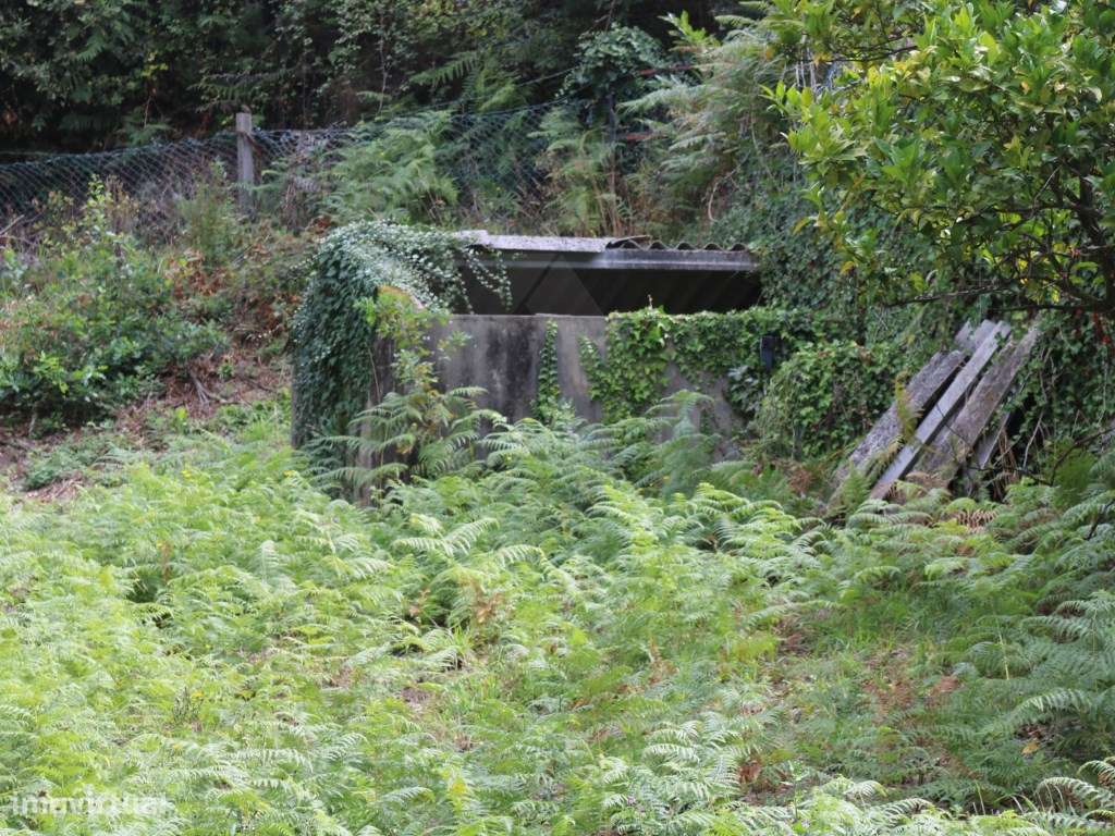 Moradia térrea com anexo e amplo logradouro - Valença - Grande imagem: 5/25