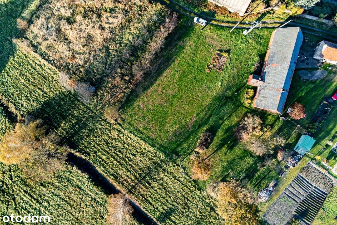 Działka z Domem - Białowice ok 4000 m2-5