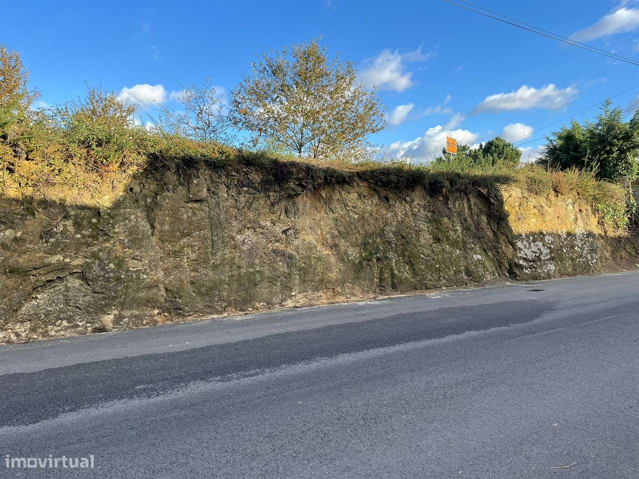 Terreno Rústico  Venda em Vila de Cucujães,Oliveira de Azeméis-5