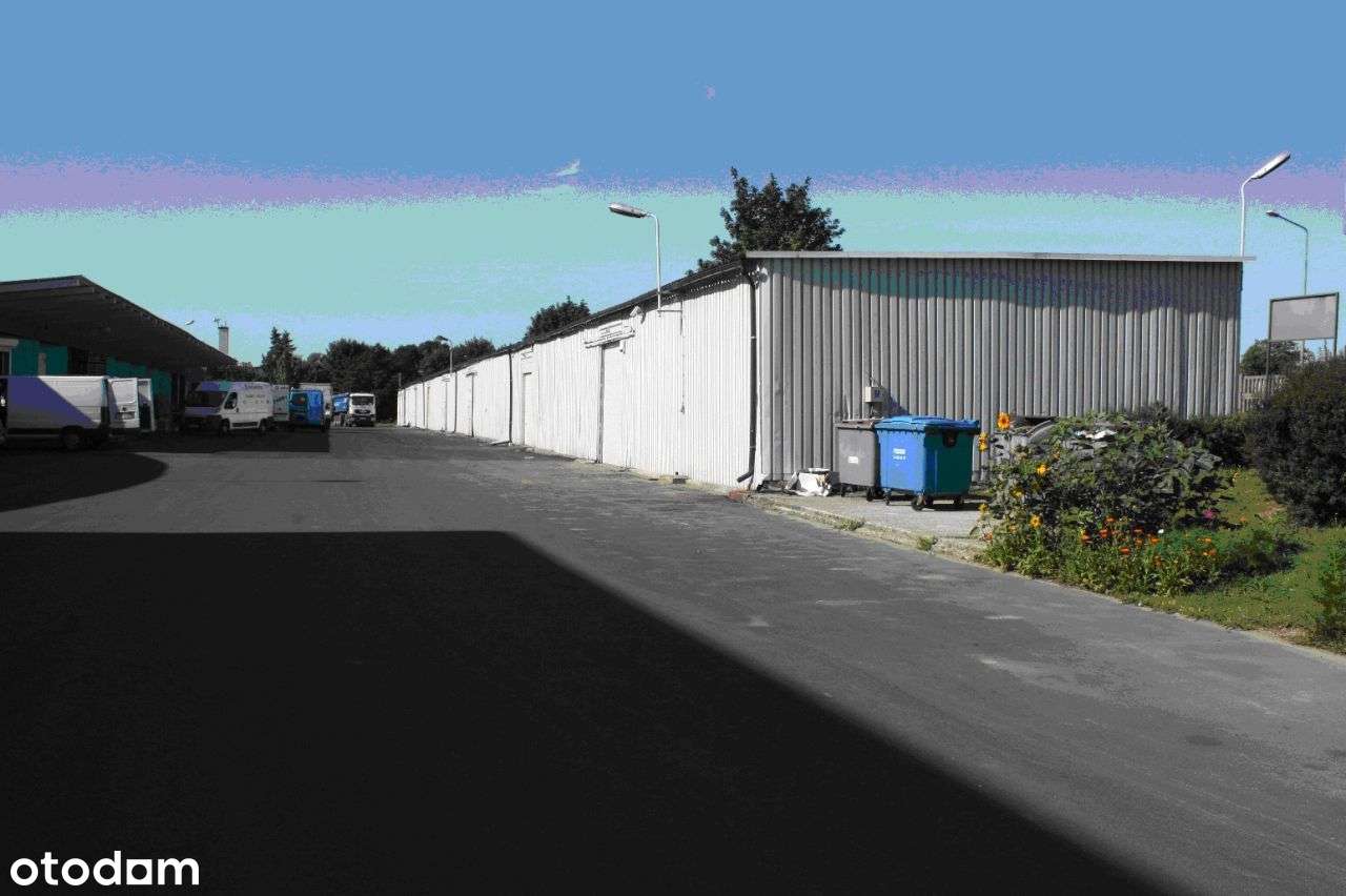 Hala/Magazyn, 131,30 m², Poznań - Pełny obrazek: 5/5