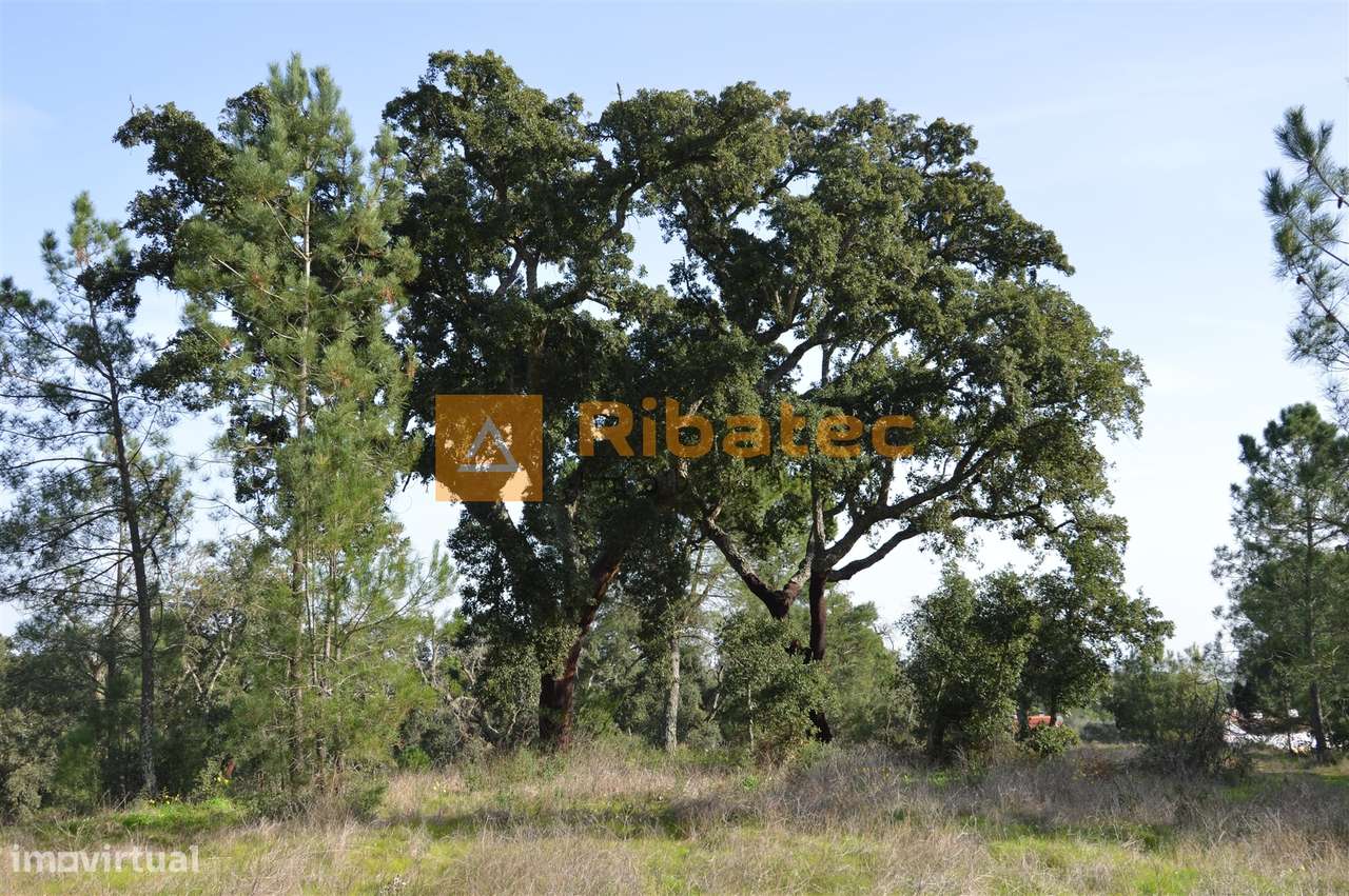 Terreno para construção no Valverde - Grande imagem: 5/5