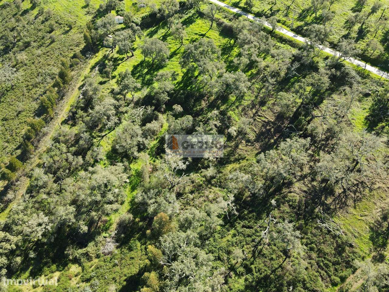 Terreno Rústico  Venda em São Barnabé,Almodôvar - Grande imagem: 5/6