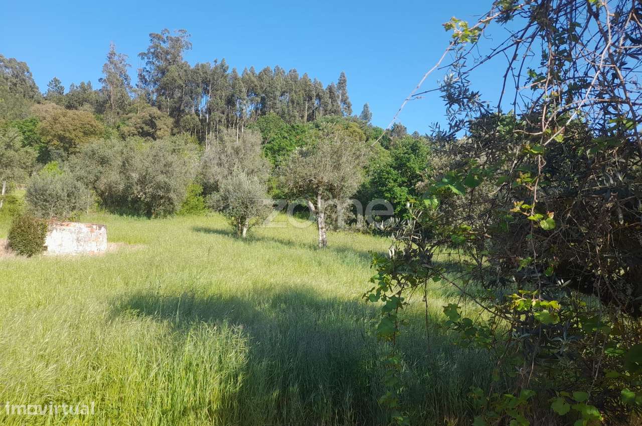 terreno rustico - Grande imagem: 5/24