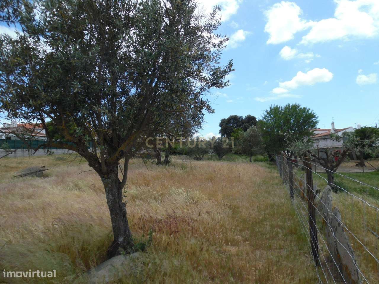 Quinta em Capelins,  Alandroal - Évora,  Oportunidade Única-24