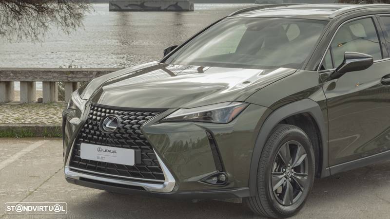 Lexus UX 250h Premium - 19