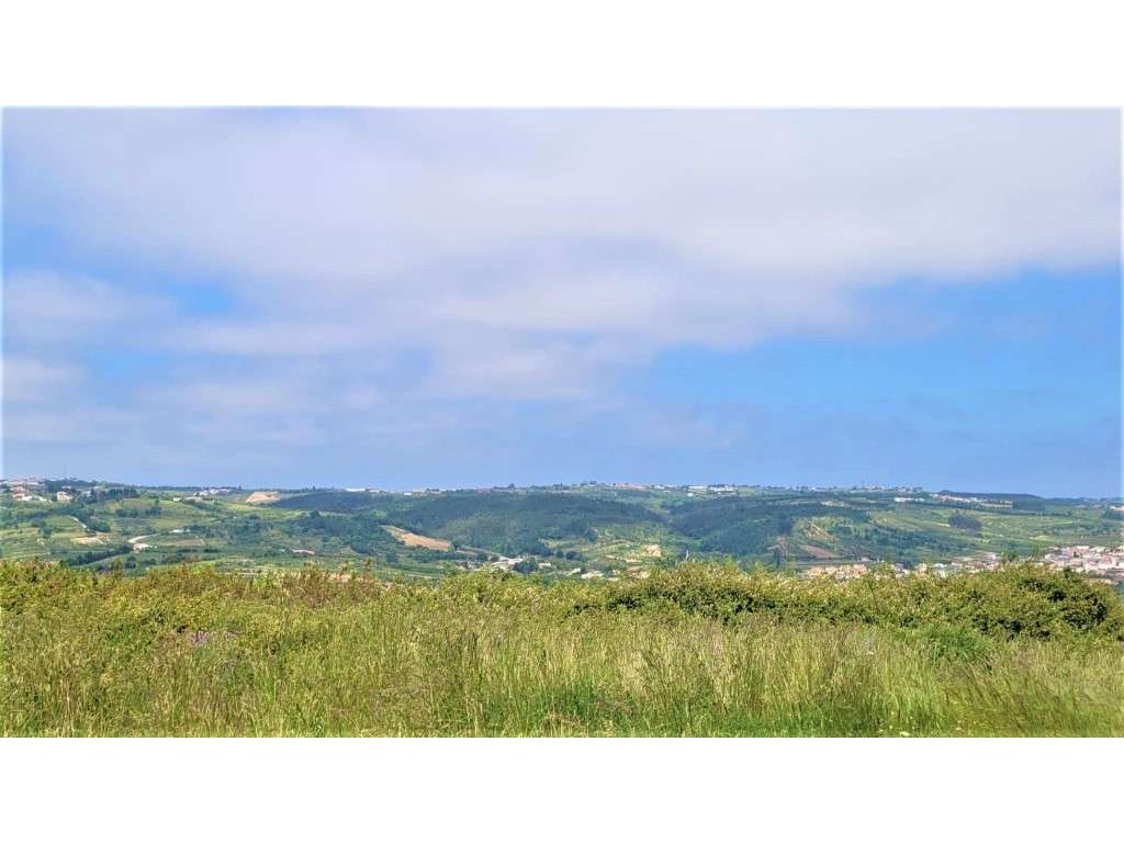 Terreno para construção no Bombarral - Grande imagem: 4/4