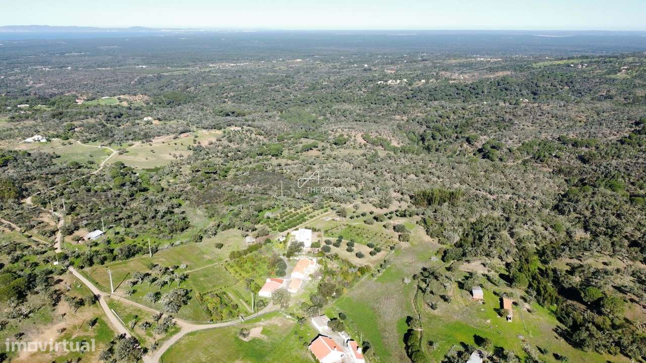 Terreno com 8 hectares  e moradia T3 para renovar - Grande imagem: 2/20