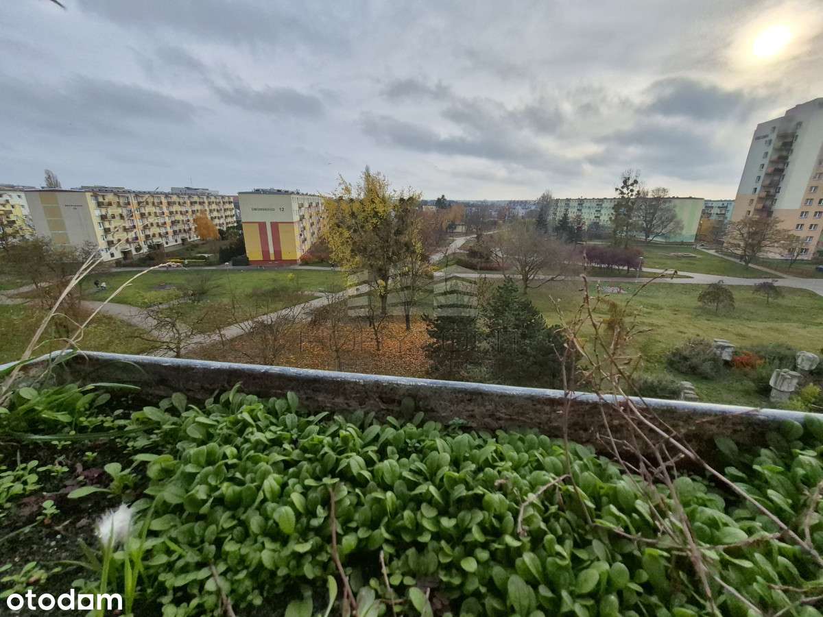 Mieszkanie z widokiem na park na os. Błonie-8