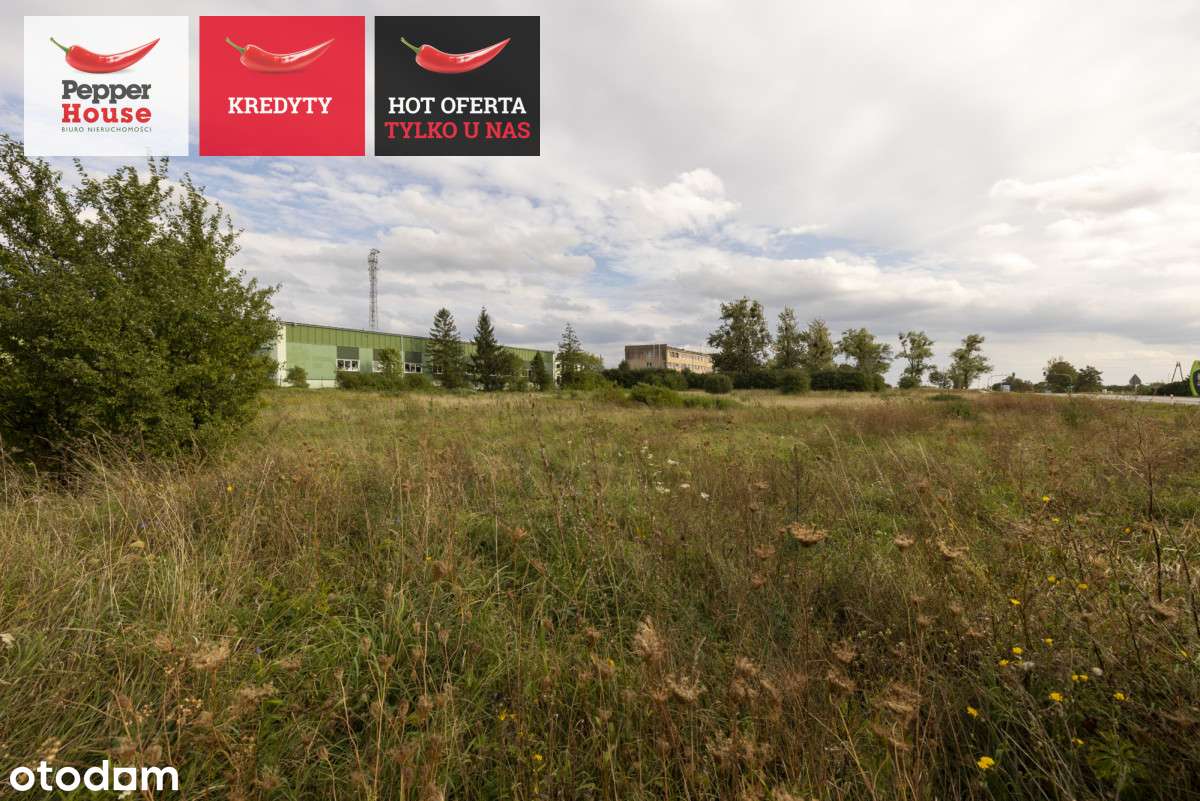 Piękna działka inwestycyjna- Gniew! - Pełny obrazek: 4/18