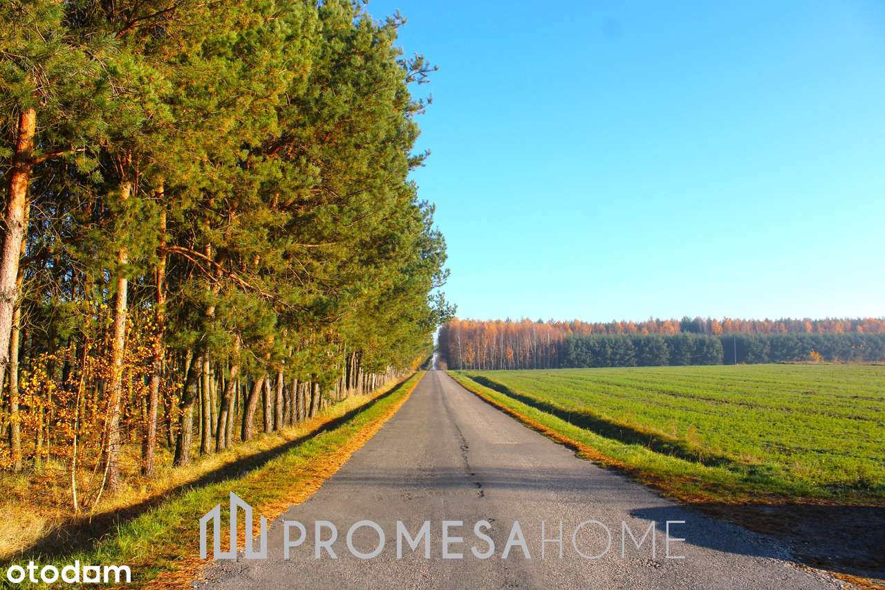 Krępa/Radomsko działki budowlane MPZP przy lesie dojazd asfaltowy !!!-2