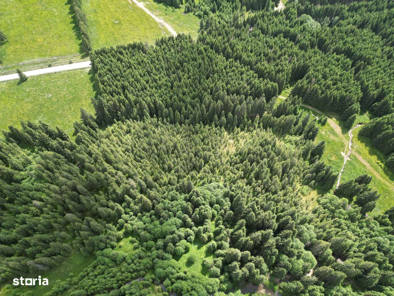 Teren extravilan 5000 MP Comandau-11