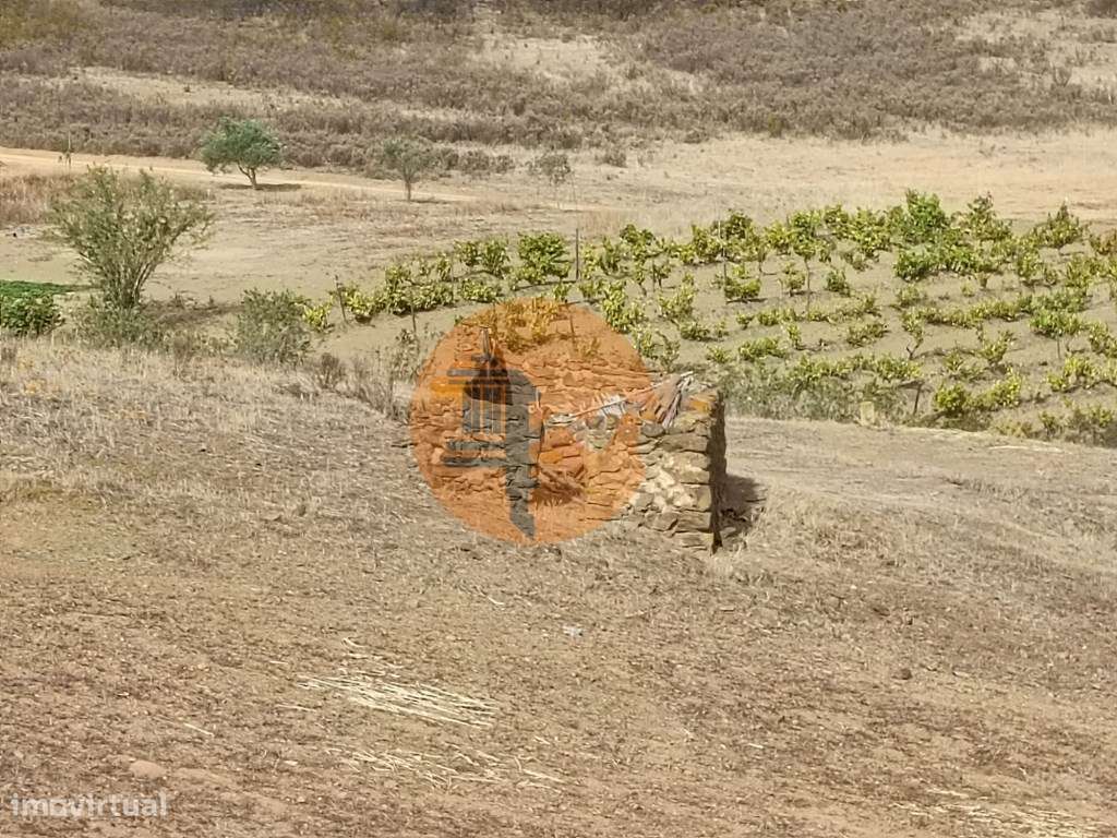 TERRENO RUSTICO COM 6000 M2 - JUNTO A ALDEIA DO TANOEIRO EM CASTRO ... - Grande imagem: 4/52