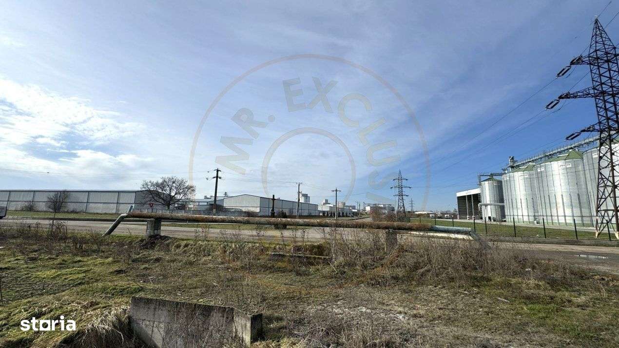 Teren Intravilan Industrial 13.164 mp, Zona Constantin Mille-Carei-Com - Imagine principală: 5/9