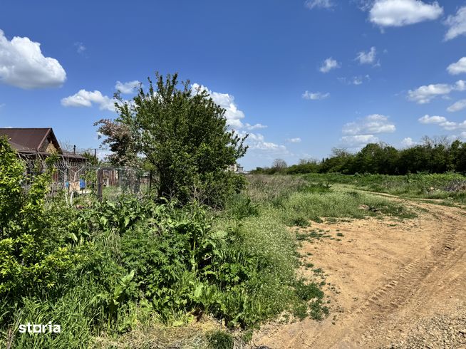 De Vânzare Teren in Periș, Ilfov-8