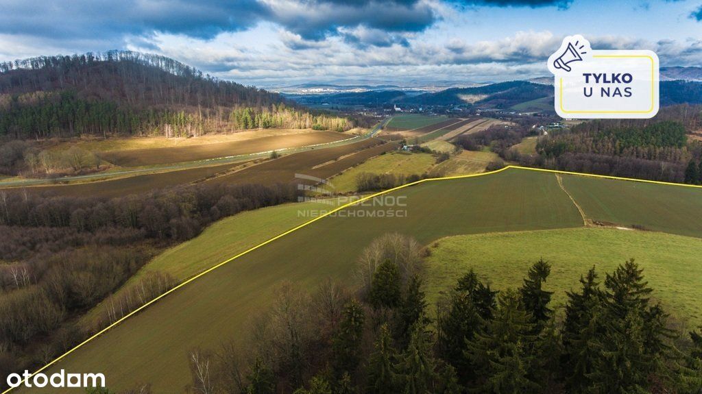 Grunty inwestycyjne 52 Ha Ziemia Kłodzka Żelazno