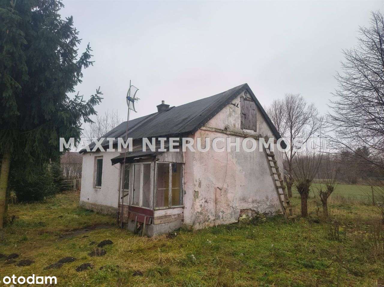 Działka 2000m² z domem. Media, 1h do Warszawy - Pełny obrazek: 4/15