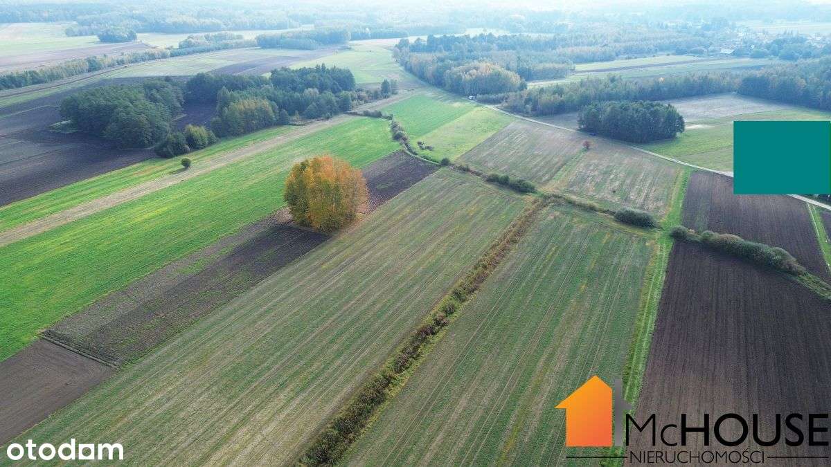 13km Mielec - Kawęczyn, 4,3ha i Wz na 26 domów-15