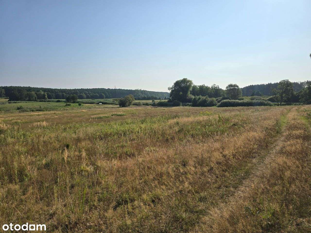 Uzbrojone działki budowlane przy stawach i łąkach, okazja!!!-9