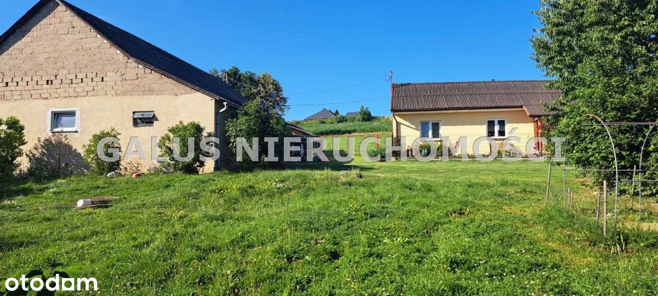 Działka rolna 2,5200 Ha i gospodarstwo-5