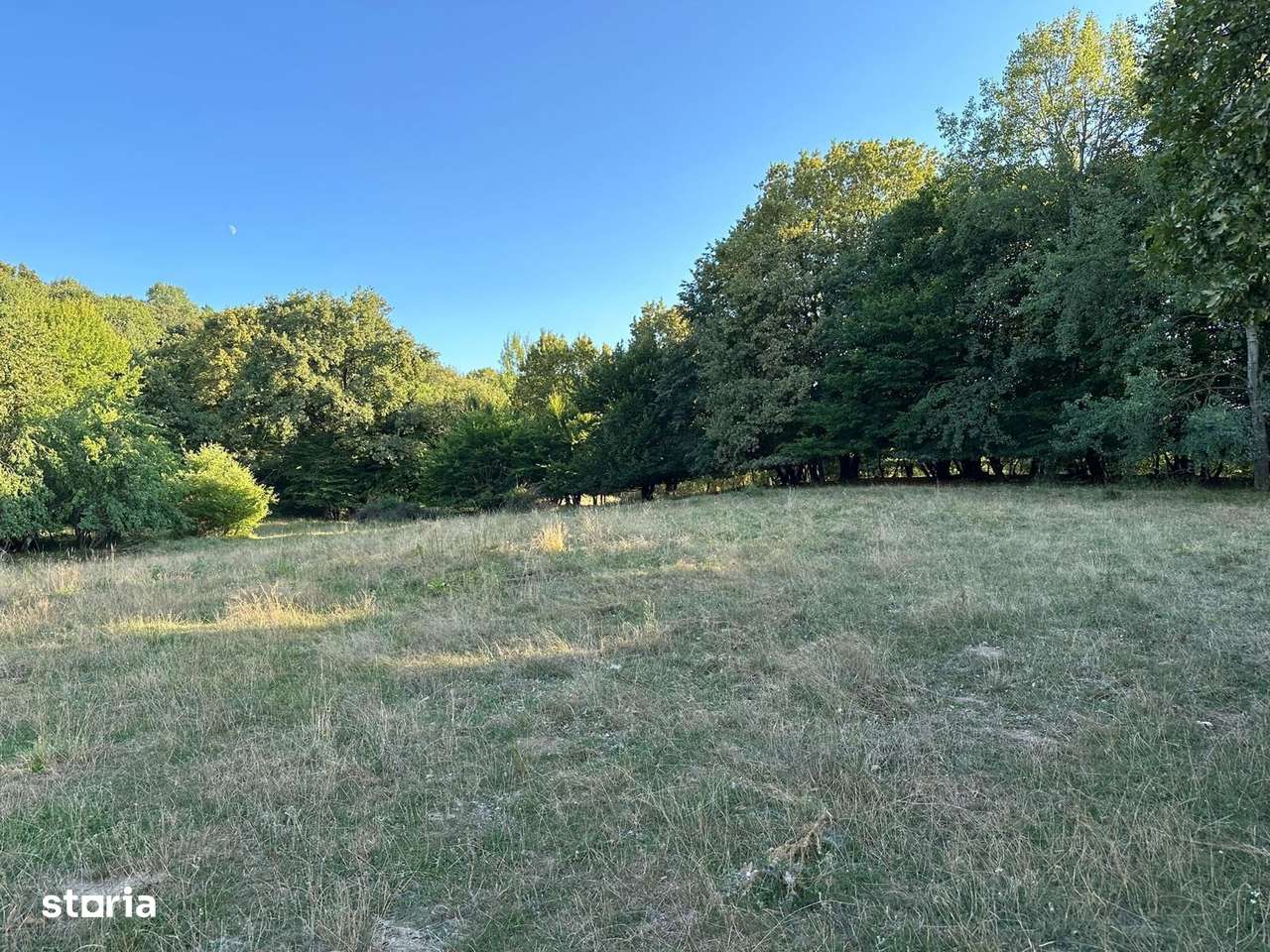 Teren 18.000 mp, priveliste frumoasa - Sura Mare - Imagine principală: 5/5
