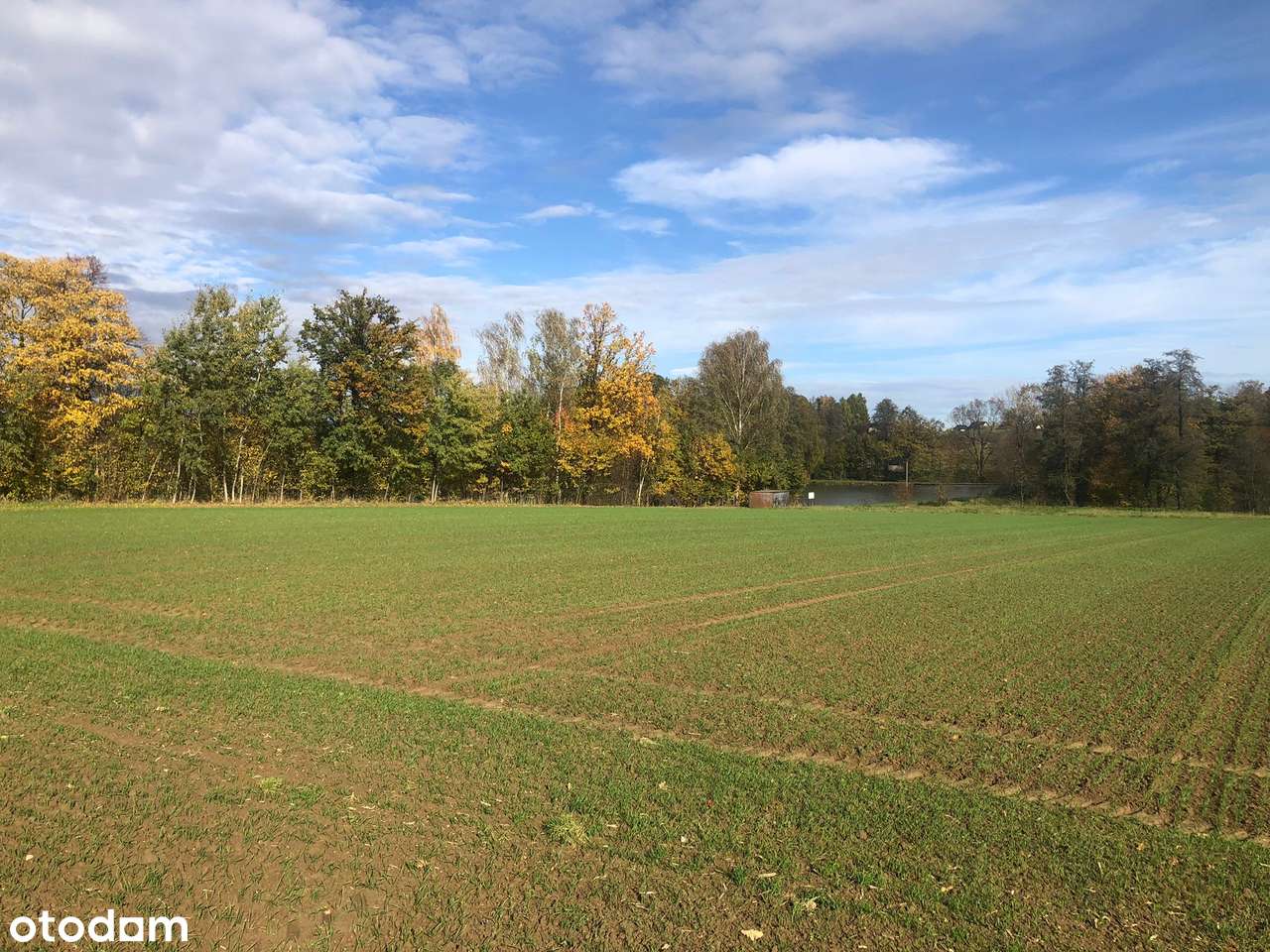 3 działki budowlane – Stara Wieś k. Wilamowic – 140 zł/m² - Pełny obrazek: 4/8